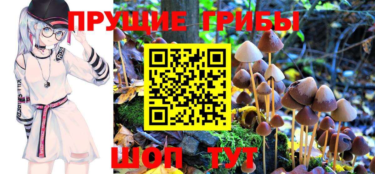 Галлюциногенные грибы Magic Shrooms  Вход с VPN  магазин продажи наркотиков  Лабытнанги  Галлюциногенные грибы Magic Shrooms 